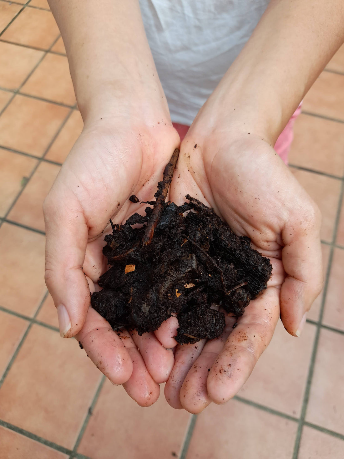 A Guide to Recycling in Hong Kong