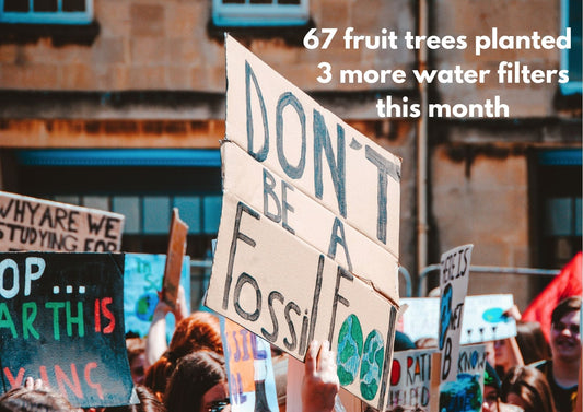 How to be sustainable in 5 easy steps