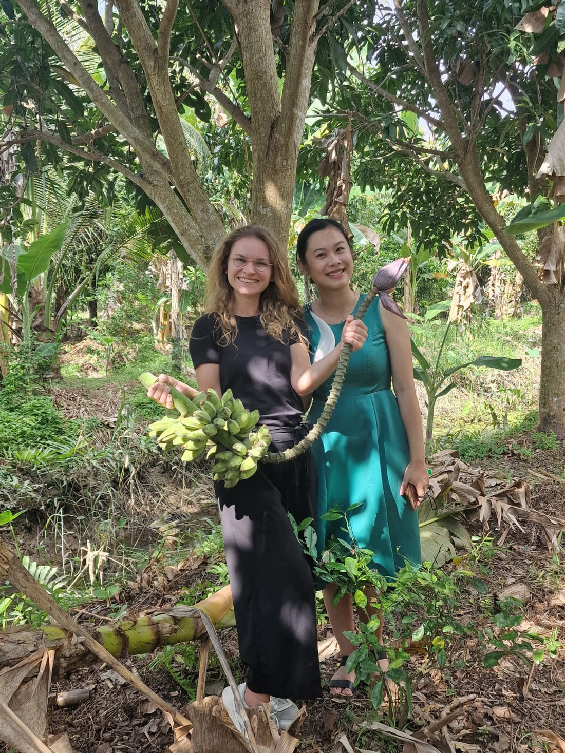 An Update on our latest activities - open letter from Sonja to our dear Impact Berry customers