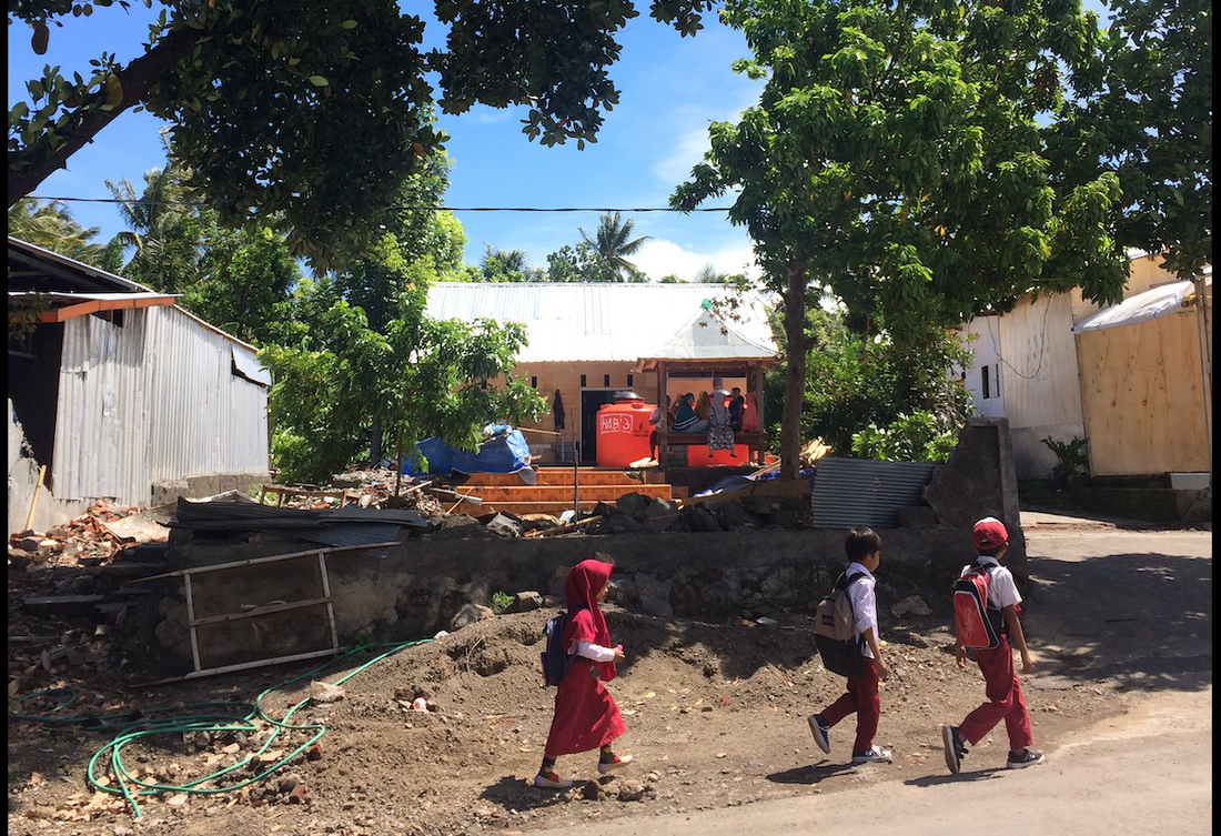 Where the ImpactBerry seed was sown... | Impact Berry