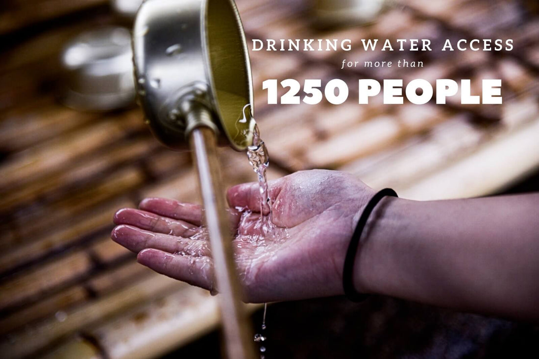 Which water filter is best? | Impact Berry