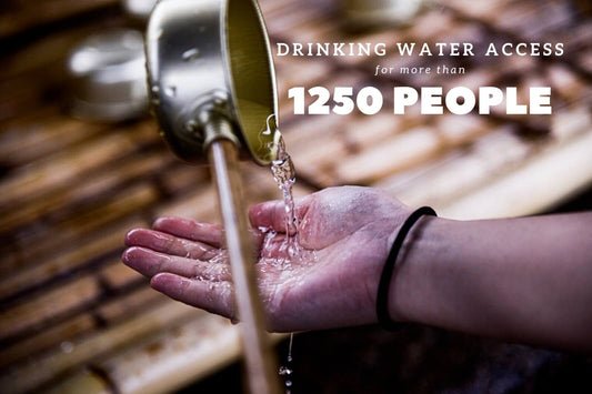 Which water filter is best? | Impact Berry