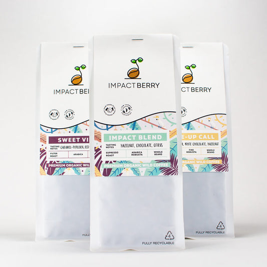咖啡豆香港 set1_Buy Coffee Beans Online Hong Kong Impact Berry Organic Fairtrade LDPE_front