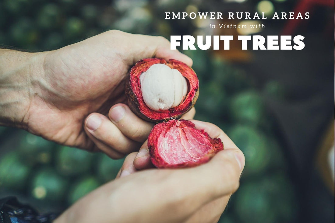 How permaculture can empower rural areas! | Impact Berry