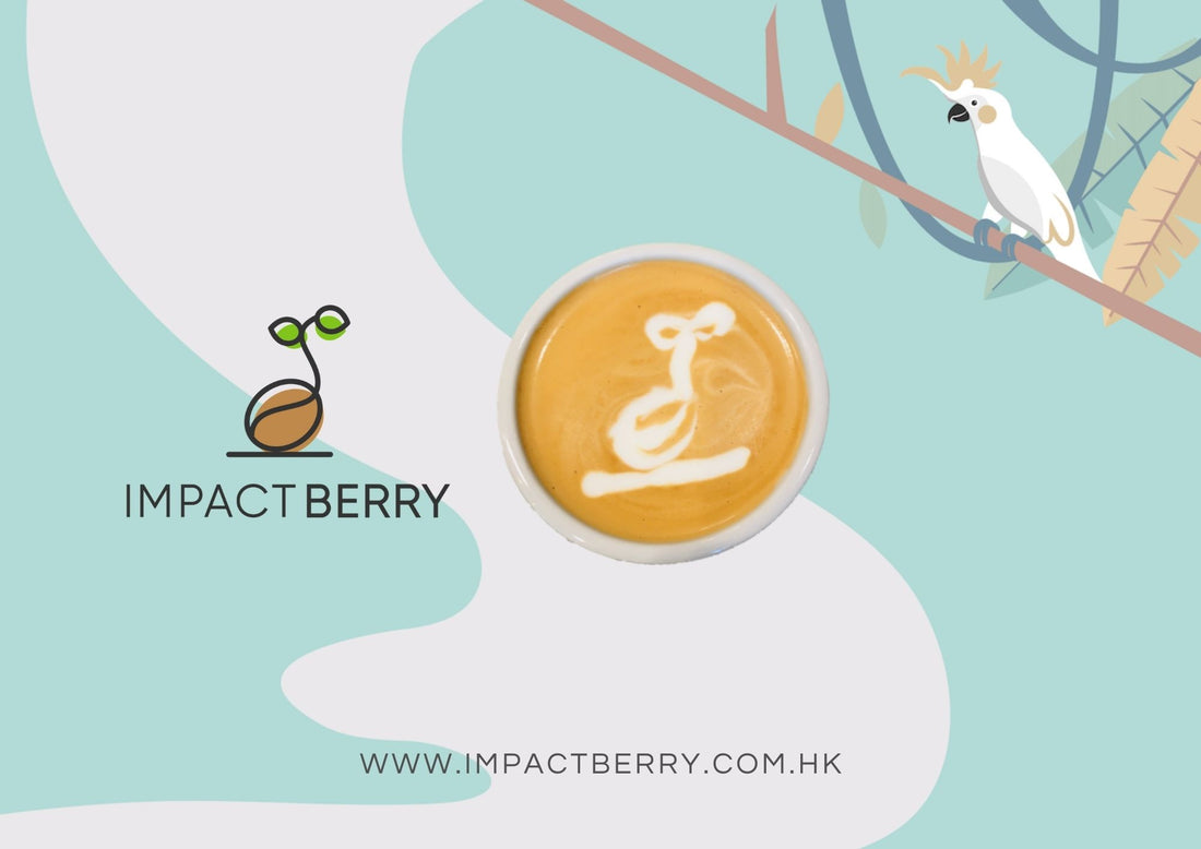 Sustainable Lifestyle Brands We Love @ Impact Berry