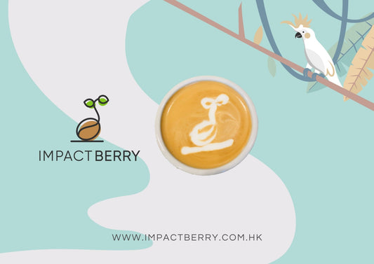 Sustainable Lifestyle Brands We Love @ Impact Berry