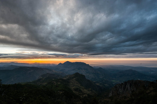 learn about earth impact berry hong kong