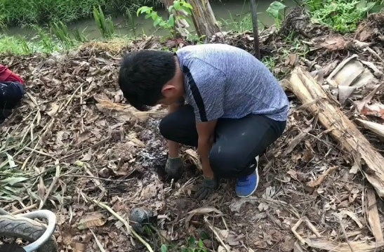 Fruit Tree Planting Fighting Deforestation Vietnam